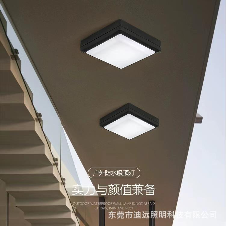 户外防水壁灯防潮灯防尘吸顶灯防蚊虫花园别墅庭院走廊露台三防灯
