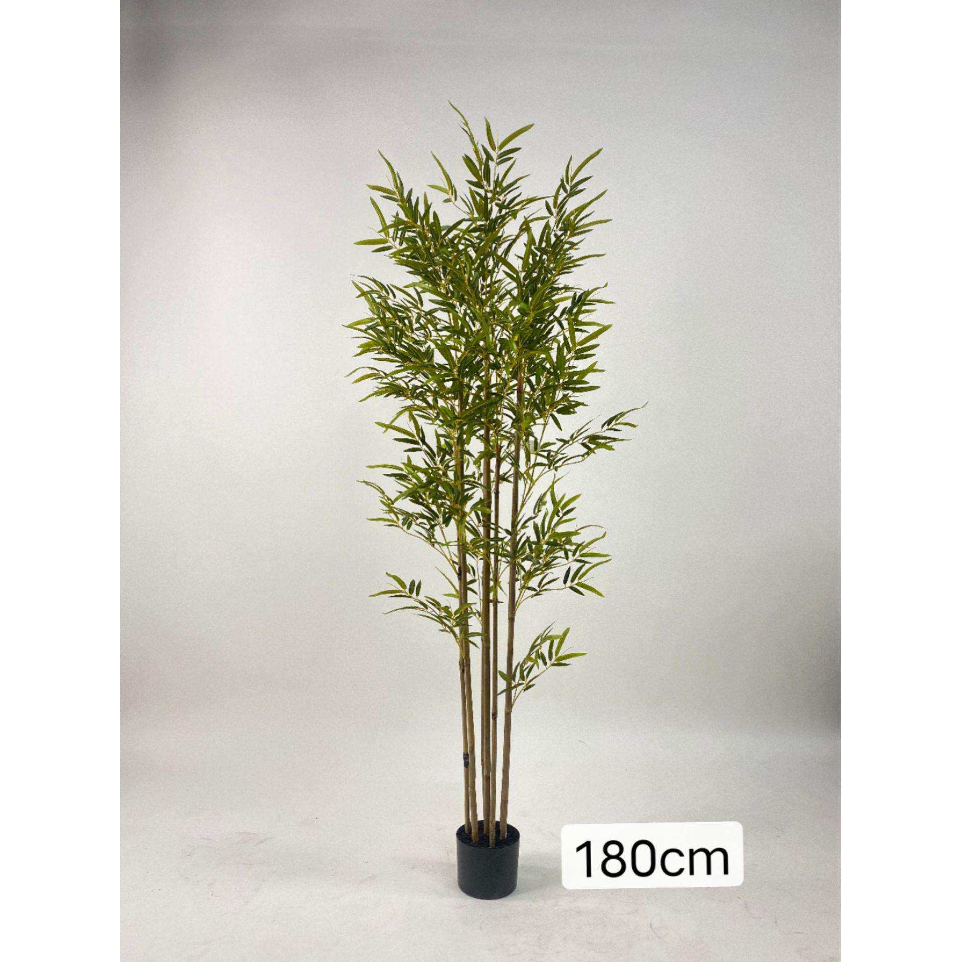 仿真竹子假竹子毛竹室内装饰假绿植盆景盆栽造景植物竹子盆栽