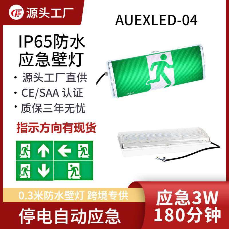 LED emergency wall lamp 3W 0.3m rechargeable exit sign light