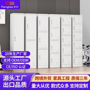 拆装出口中东更衣柜单体储物柜钢制收纳柜单一门单二单三单六衣柜