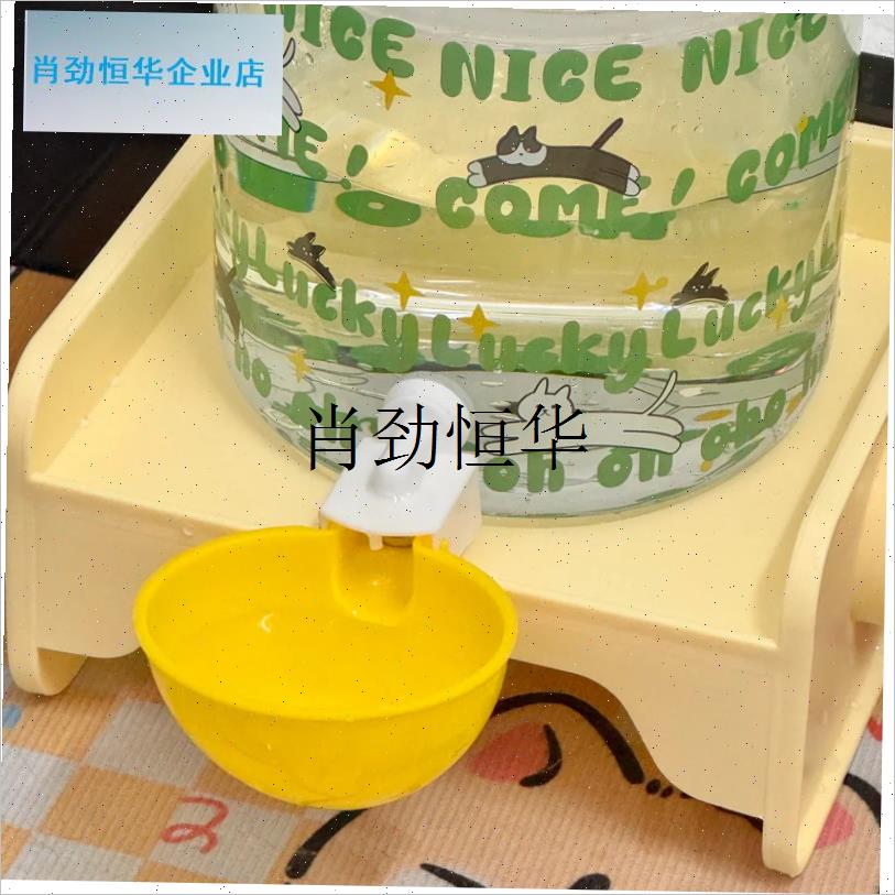 l自制宠物b饮水机不插电diy猫咪狗狗自动饮水器大容量玻璃桶喂水