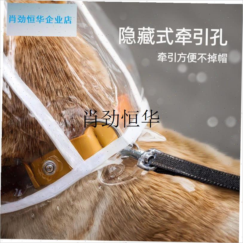 l透明全包金毛大狗狗雨衣四脚防水拉布拉多边牧宠U物中型大型犬衣