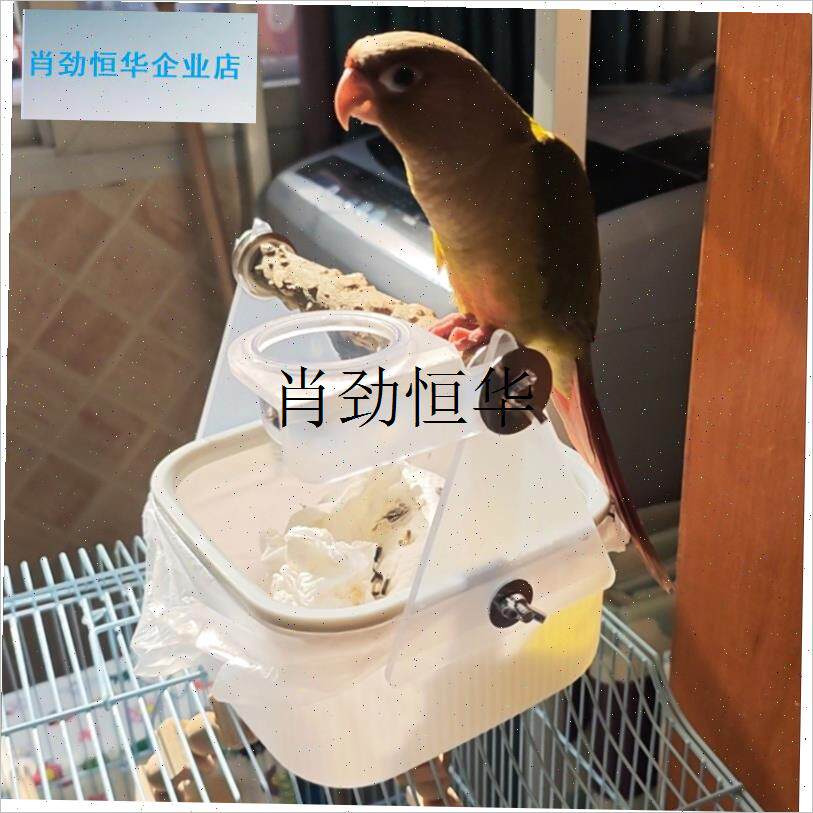 l鹦鹉定点排便站架桌面训练厕所站杆垃L圾桶玄凤鹦鹉拉屎神器