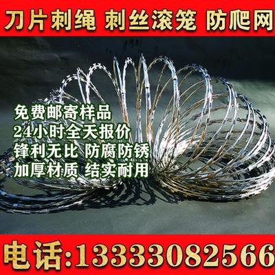 四川刀片刺绳防护网不锈钢刺丝滚笼刺网带刺铁丝防盗防爬网