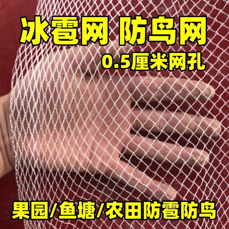 防雹网果园防鸟网樱桃葡萄嘉宝果树防小鸟网防冰雹网全新料抗老化,农机/农具/农膜,农用防鸟网,淘宝优惠券,粉丝福利购,淘宝优惠卷