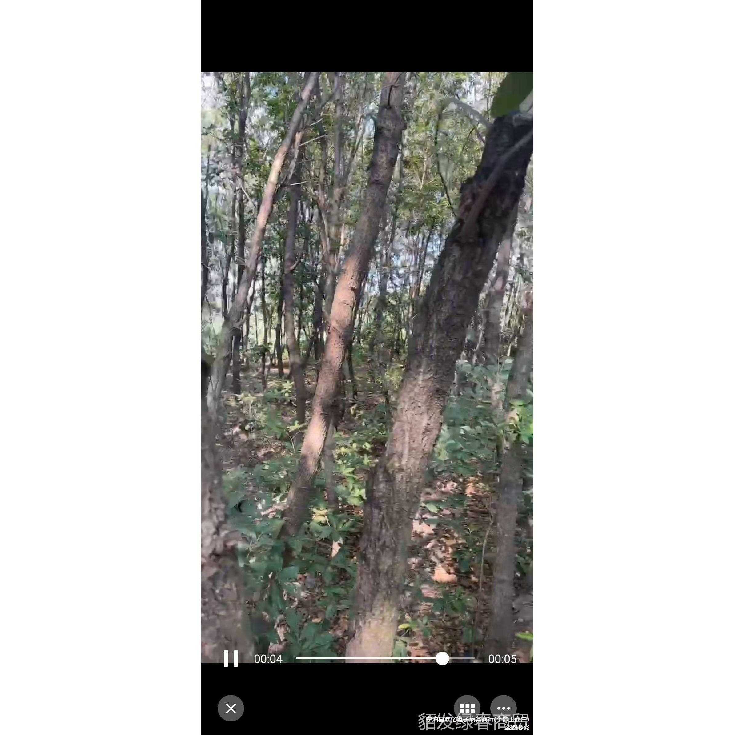 新款直销淄博烧烤木炭无烟烧烤炭韩式烤肉专用碳环保炭钢碳健康原