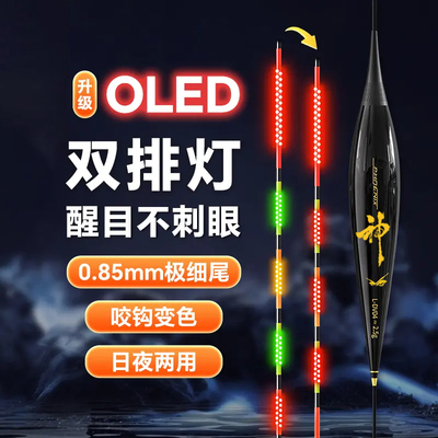 双排LED夜光漂咬钩变色日夜两用硬尾高灵敏电子漂鲫鲤鱼夜钓浮漂
