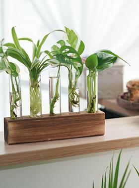 创意实木架透明试管水培植物绿萝花瓶插花容器办公桌面装饰品摆件