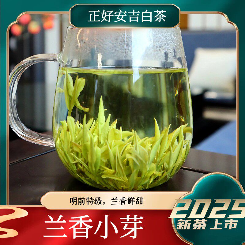 4号【兰香小芽】2025年溪龙正好安吉白茶春茶明前特级兰花香白茶