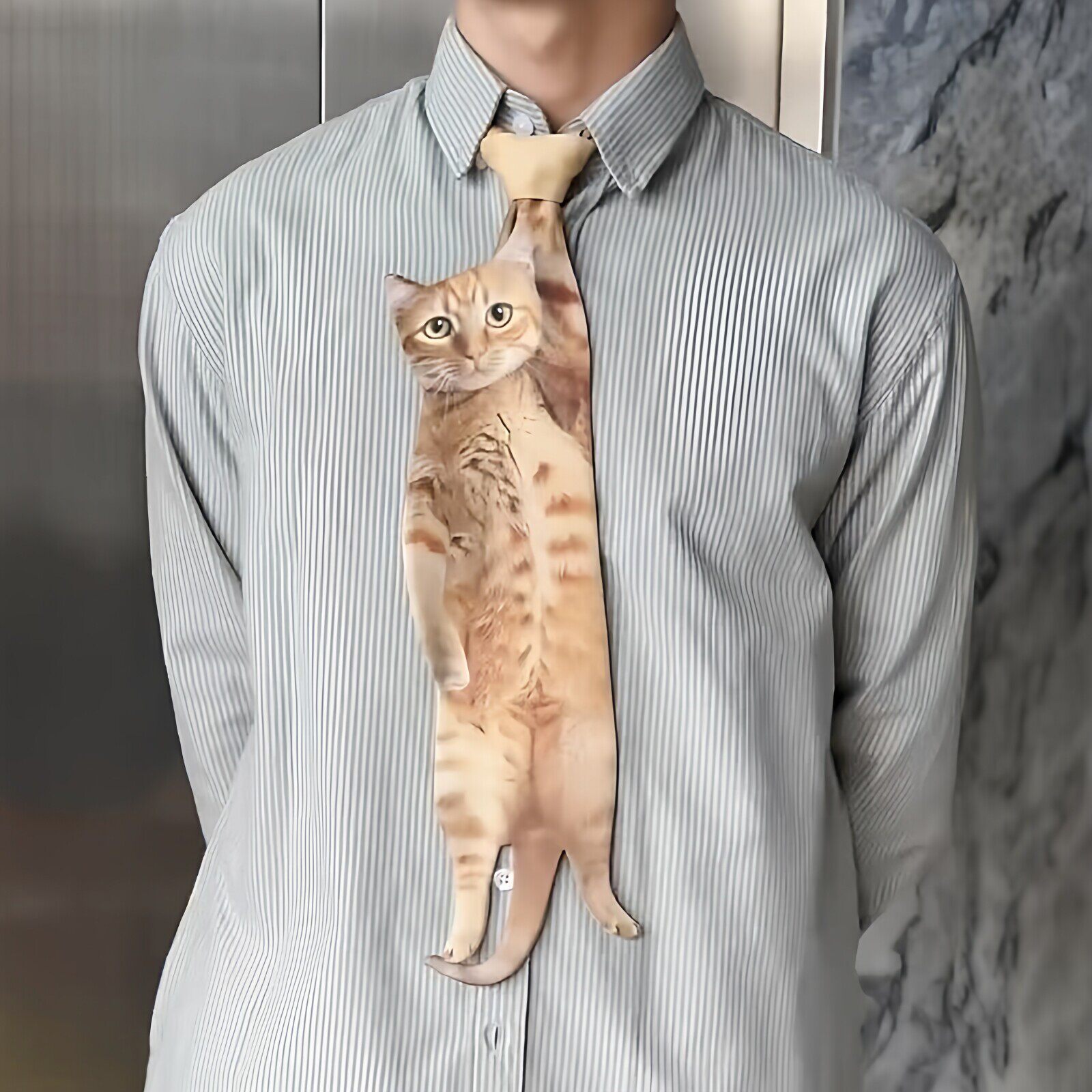 古德猫领小众搞怪猫咪印花领结