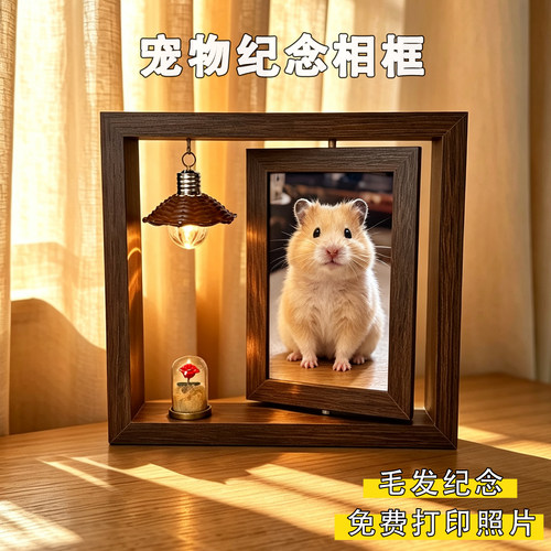 宠物毛发纪念相框猫咪照片定制