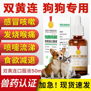 双黄连口服液狗狗宠物感冒打喷嚏流鼻涕犬窝咳抗病毒猫狗感冒药