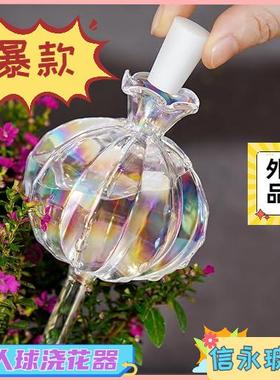 仙人球浇花器玻璃 自动懒人浇灌滴水滴灌浇水 玻璃浇花器