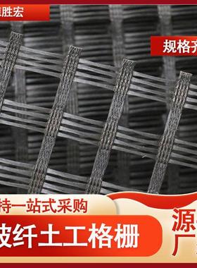 钢塑土工格栅 路基加筋用GSZ80kn双向钢塑格栅