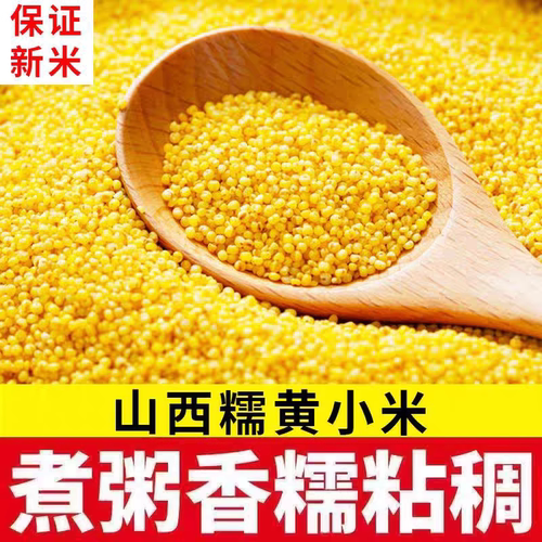 油糯黄小米新米农家食用小黄米糯米五谷杂粮早餐熬粥米脂油小米粥