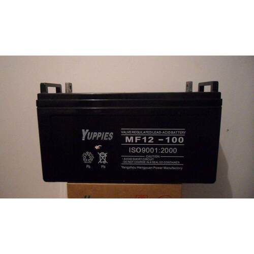 YUPPLES(优佩斯)蓄电池MF100-12优佩斯蓄电池12V100AH