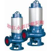 JBW不锈钢自动搅匀排污泵水泵直销