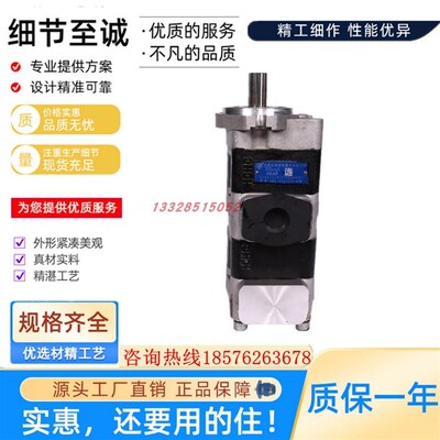 合肥长源杭叉齿轮泵 CBKL-G40 G32/G25 G32 G20-ATL 双联液压泵