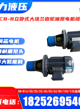 WBZ/CB-B16/B20/B25/B32/B50/B63JZ机床锯床润滑齿轮油泵电机组