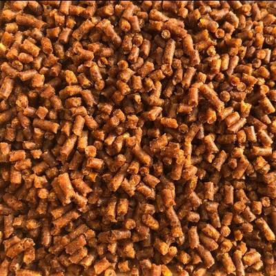 鹩哥八哥鸟食饲料鹦鹉画眉鸟粮中科换毛期专用料肥膘亮毛5斤桶装