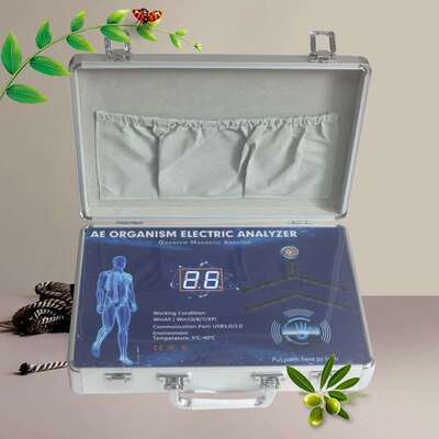9G Quantum Resonance Magnetic Analyzer Health Analyzer 2025