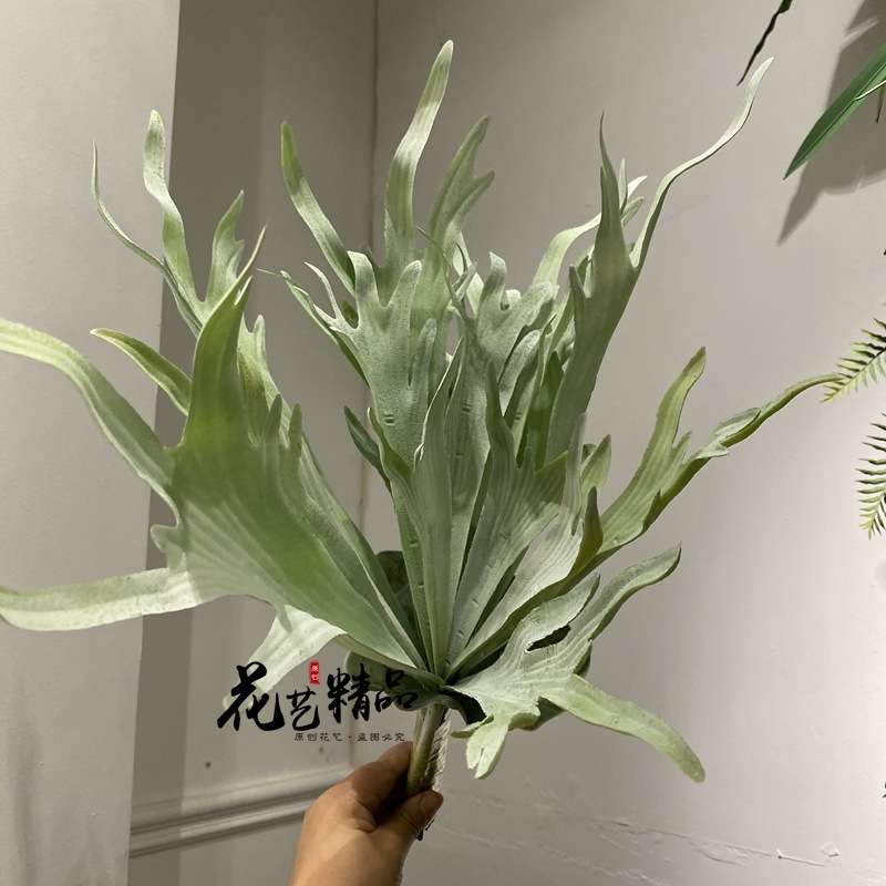 仿真扇葵叶芭蕉扇叶青苔草苔藓空气草垂吊田园摆放花艺墙尤加利