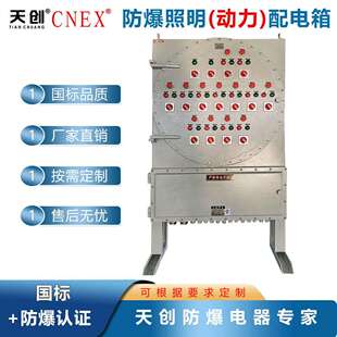 BXM(D)53系列防爆照明(动力)配电箱