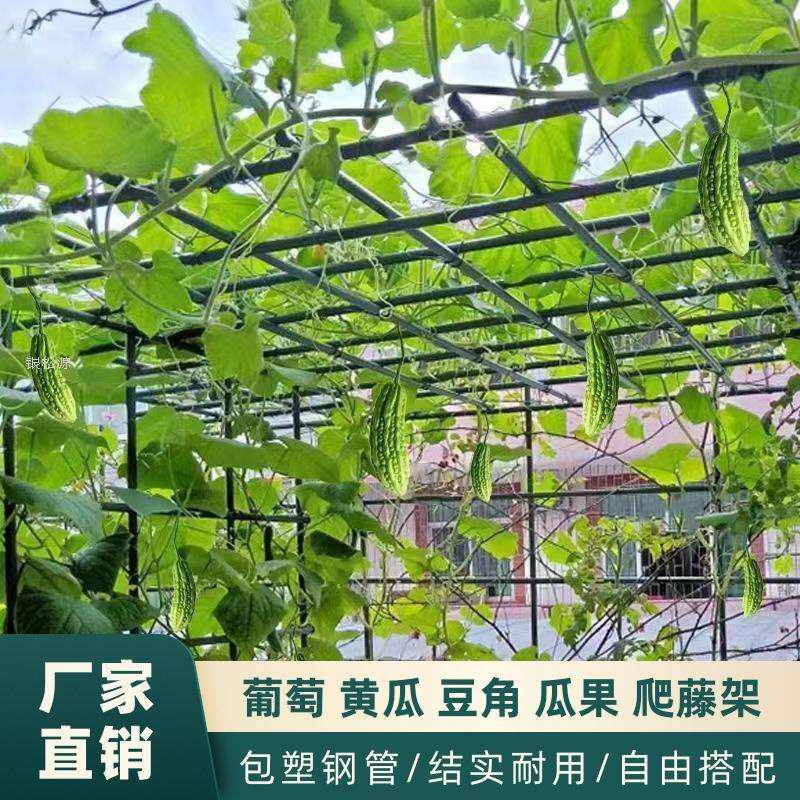 葡萄架户外庭院楼顶搭棚天台棚架组装百香果苦瓜攀爬铁架阳台植物
