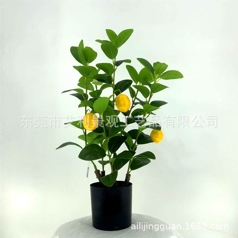 柠檬树家居小清新植物假果树盆栽园林景观人造绿植盆景