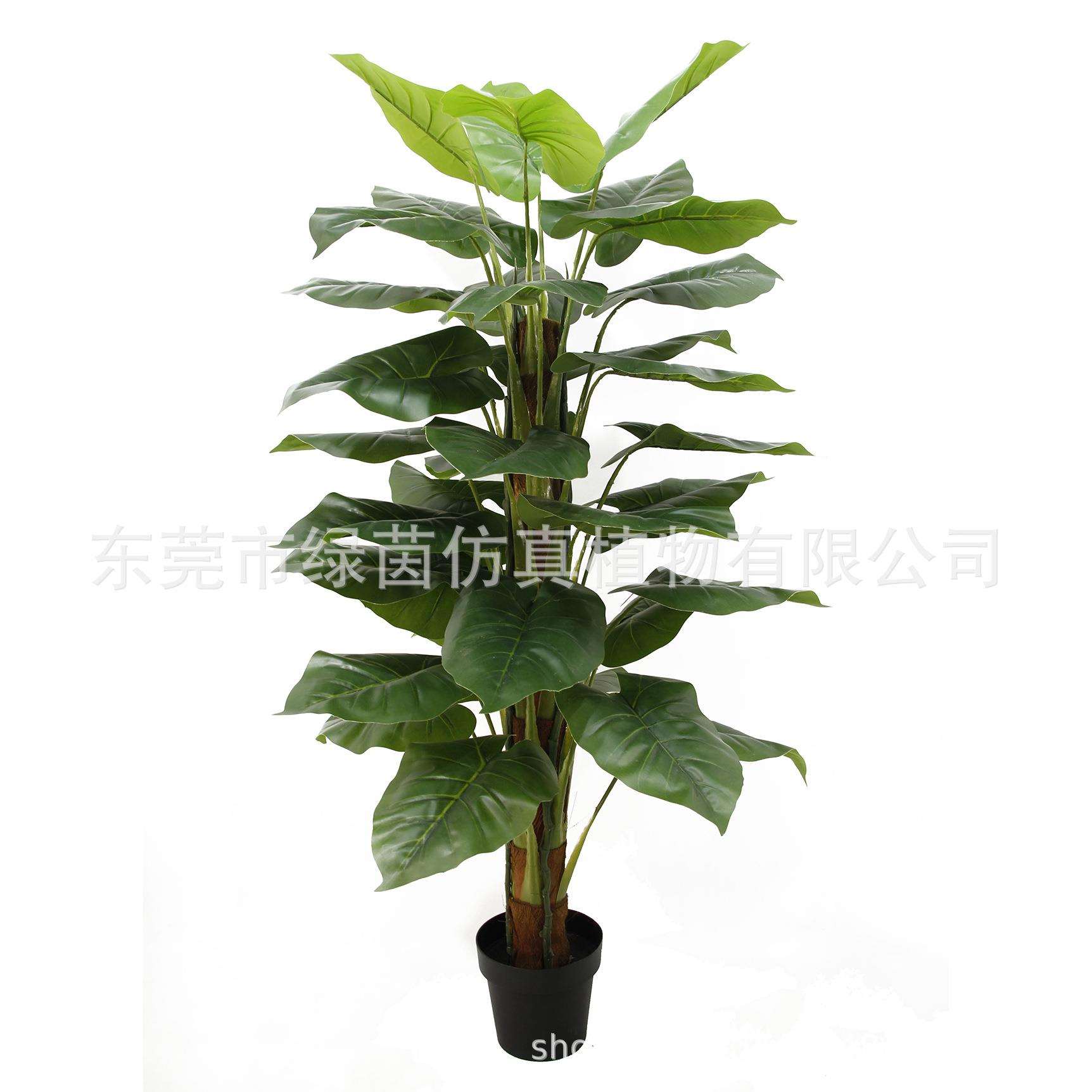 仿真植物摆件春芋装饰热带大叶喜林芋假绿植客厅热带雨林野芋