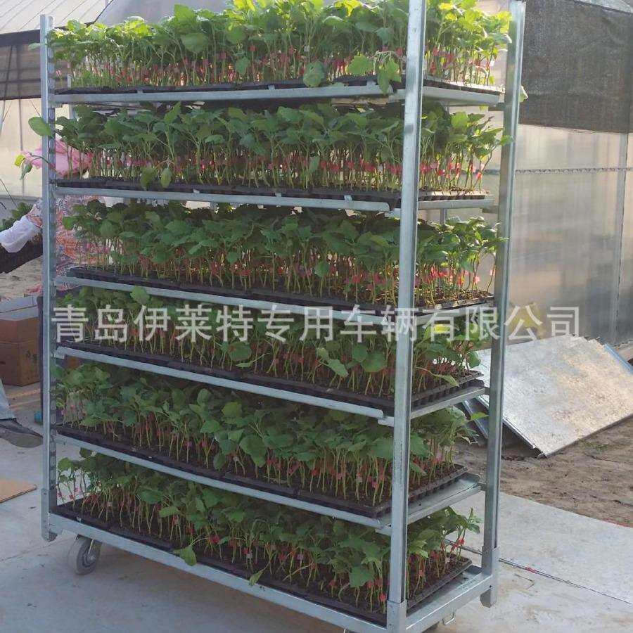 花卉育苗基地育苗车温室车发芽车省时省力的工具可补光可拖拉