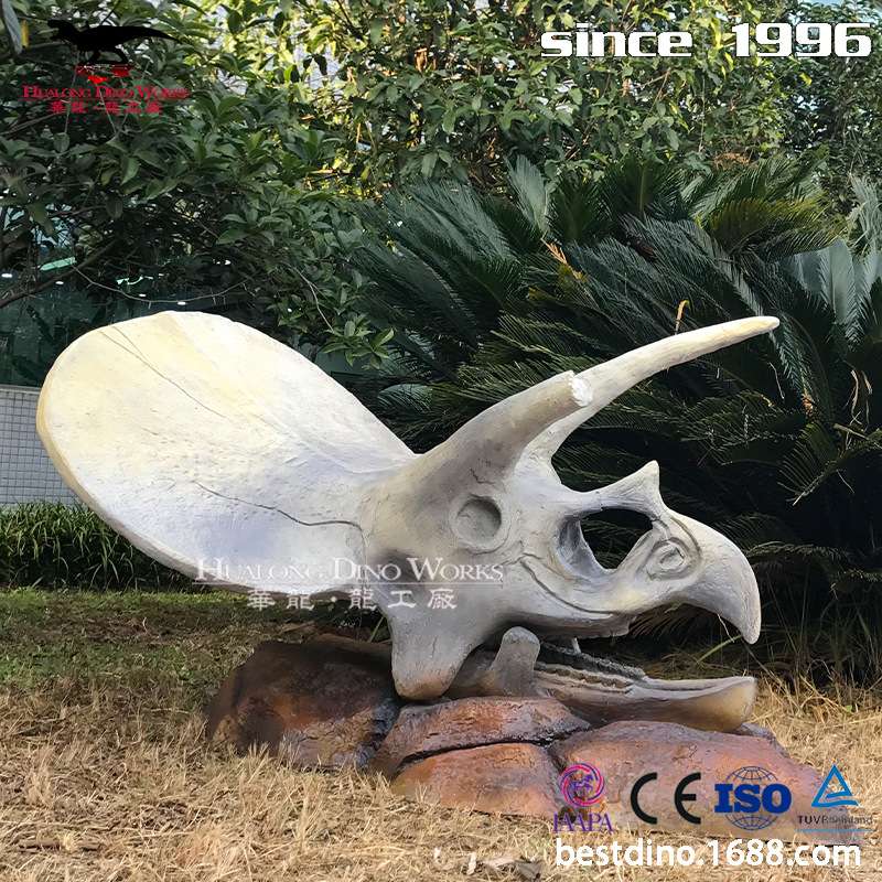 仿真恐龙玻璃钢模型制作工厂三角龙头骨化石 骨架 科普 展览收藏