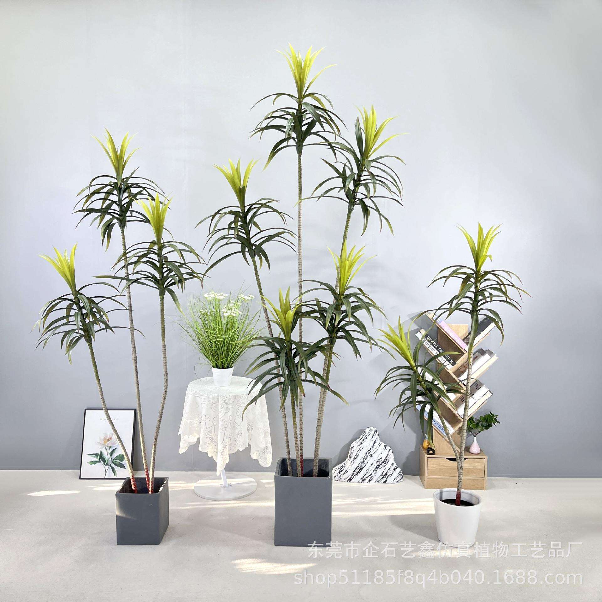 NuSun 贵宾/泰迪幼犬犬粮 2500g仿真绿植龙血树盆栽轻奢假植物室