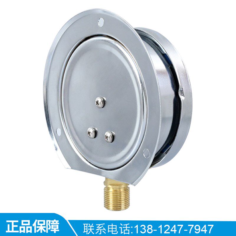 YN100T 1.6MPa 径向带后边 耐震压力表 抗震船用压力表佳敏仪表