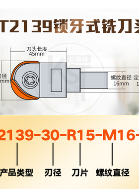 球形T2139可换锁牙式铣刀头球头刀杆钨钢抗震螺纹锁牙固式刀头R5