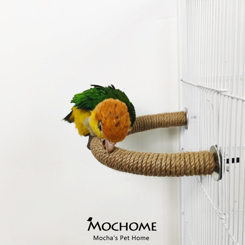 彩虹麻绳站杆U型笼顶侧面多功能站杆鹦鹉鸟玄凤玩具宠物用品粗,宠物/宠物食品及用品,鸟玩具,淘宝优惠券,粉丝福利购,淘宝优惠卷
