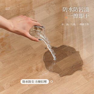 透明地垫pvc可擦洗2025年冬季新款客厅家用高级感防水耐脏垫子