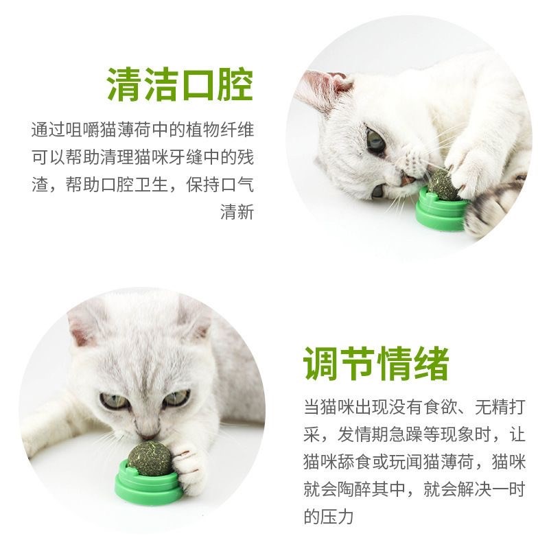 猫薄荷球猫草球自嗨解闷磨牙神器幼猫逗猫棒耐咬猫咪玩具宠物用品