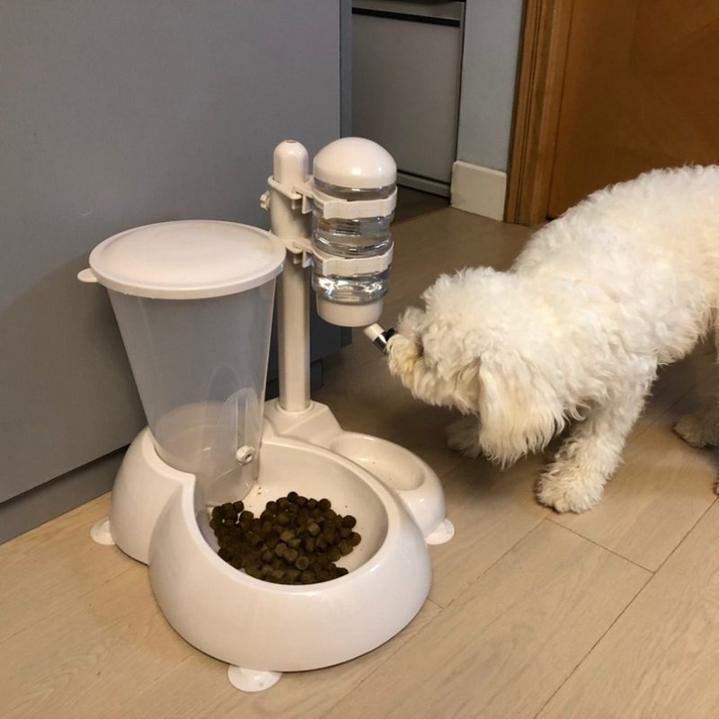 狗狗挂式a水壶自动饮水器立式喂水不湿嘴猫咪喝水喂食泰迪宠物用