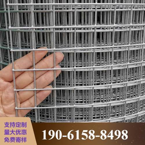 加粗热镀锌钢丝围栏铁丝网玉米网网热镀锌电焊网小孔网阳台防鼠网