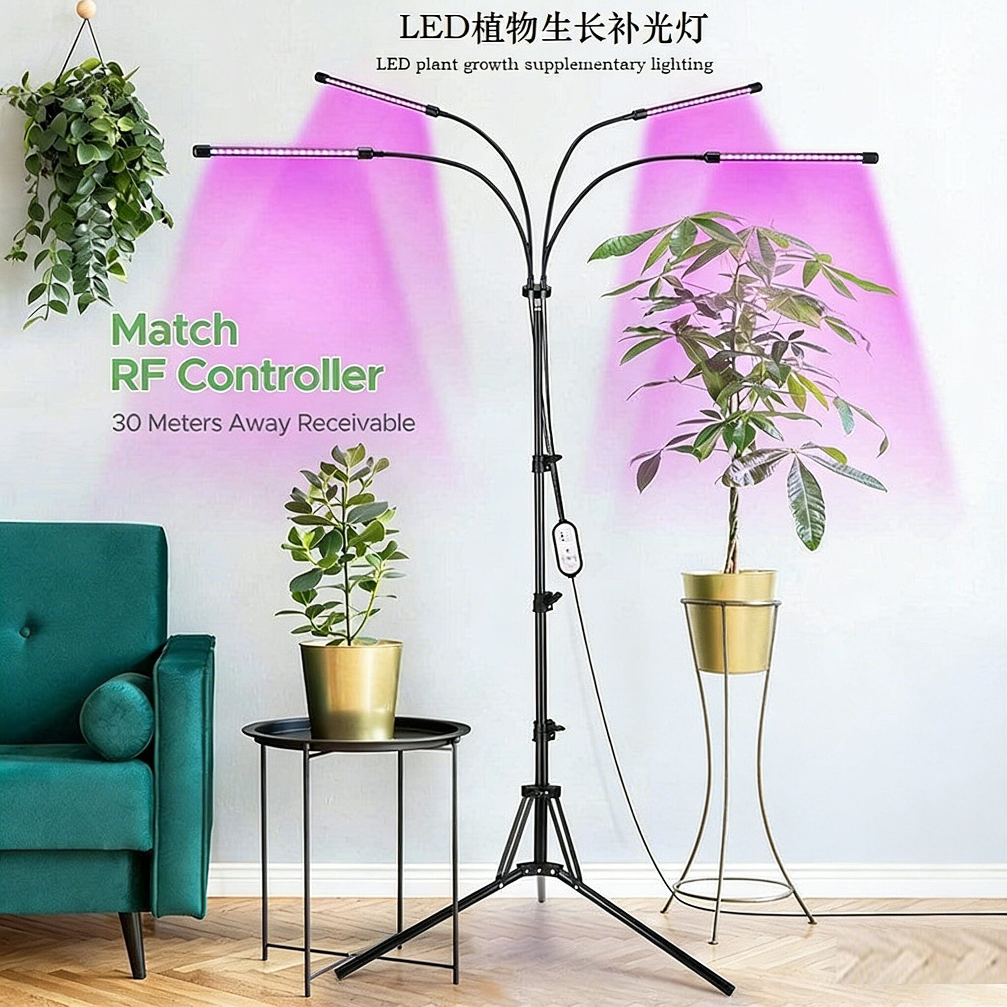 多肉植物生长灯上色补光灯家用室内花卉绿植全光谱仿太阳LED紫光
