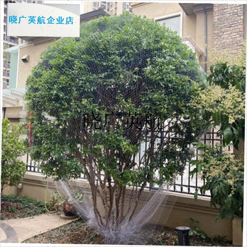 园林农用配件嘉宝果o山东樱桃树葡萄单颗专用防鸟罩子防虫尼龙天l