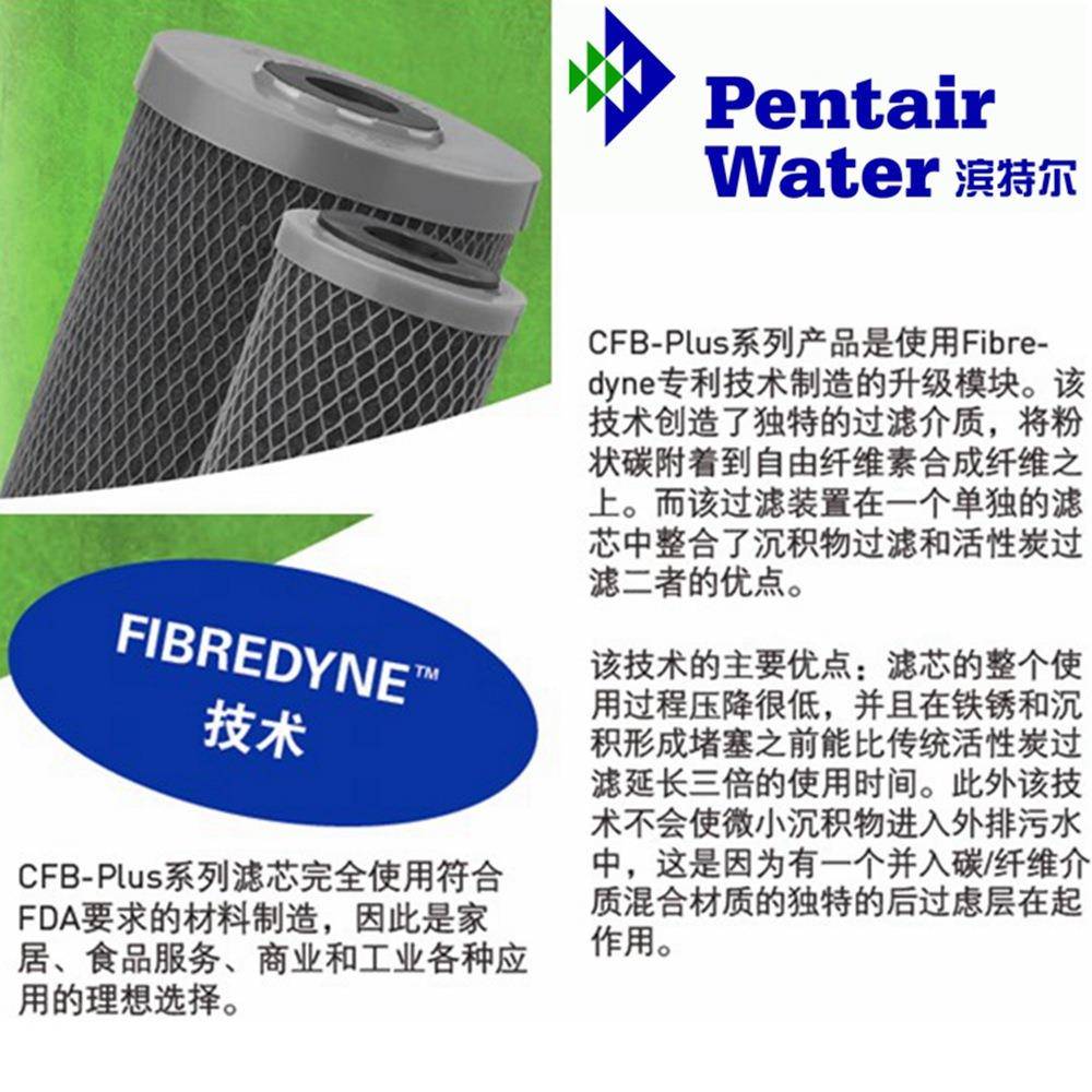 滨特尔性炭活滤芯R655151-4C DX CFB FLFO复合活性炭F大蓝瓶白瓶