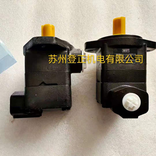 臺灣BST液壓油泵HSV101P5P1A BST齒輪泵 現貨供應