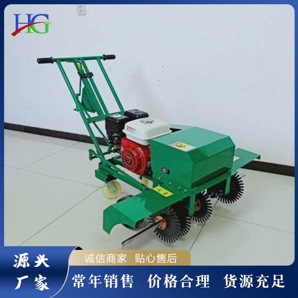 手推式草坪划线机小型人造草坪划线设备汽油宽幅旋刀草皮移植机,农机/农具/农膜,植保机械,淘宝优惠券,粉丝福利购,淘宝优惠卷