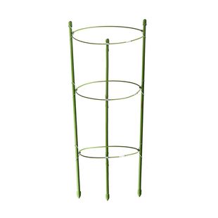 园艺花架月季爬藤花卉盆栽绿萝植物固定铁线莲包塑铁环支柱支架