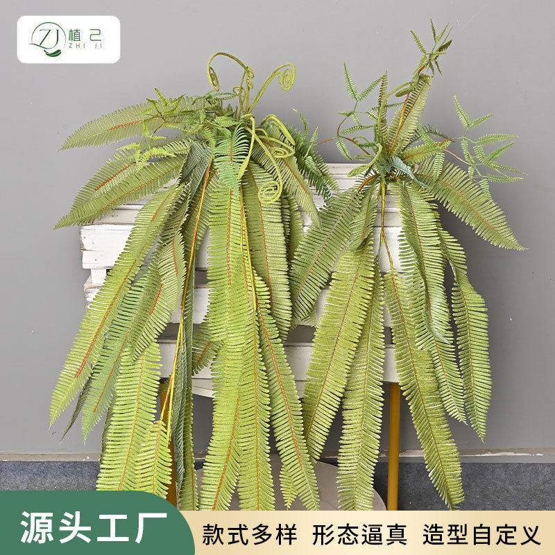 仿真蕨类挂壁假绿植波斯顿蕨背景墙橱窗婚庆装饰手感波斯草蕨叶图片