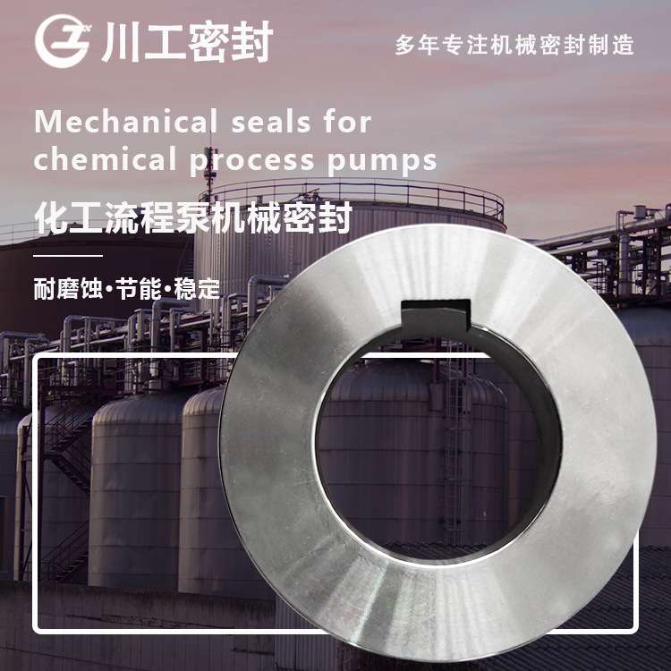 杭轴动碱泵密封 IJ100-65-250B\HT100-65-315 化工泵机械密封件