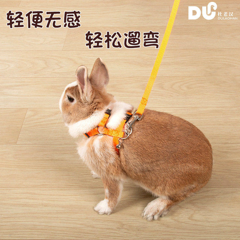 兔子牵引绳 龙猫豚鼠荷兰猪外出宠物胸背小型宠物用  遛兔绳,宠物/宠物食品及用品,其它宠物用具,淘宝优惠券,粉丝福利购,淘宝优惠卷