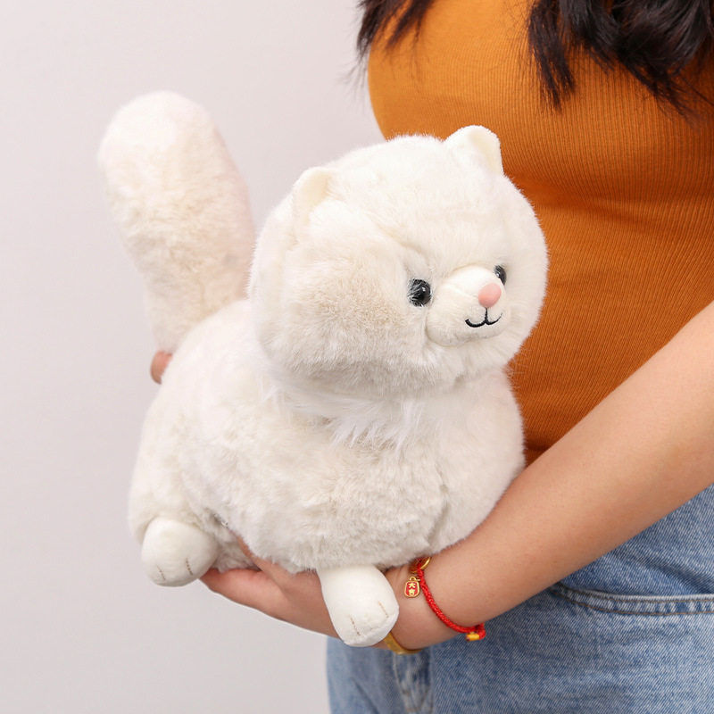 波斯猫公仔猫咪毛绒玩具女孩玩偶可爱动物家具摆件跨境生日礼物图片